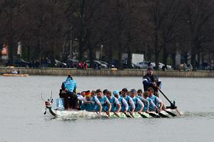 D80_8280_cr